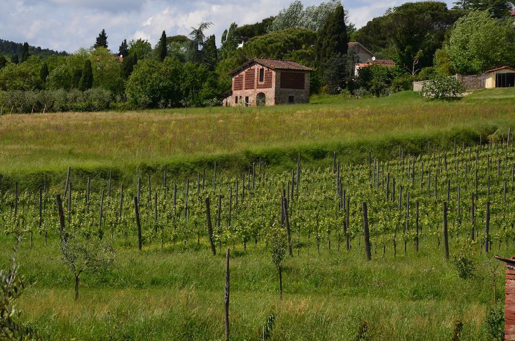 Agriturismo Al Podere Di Rosa Lucca Eksteriør bilde