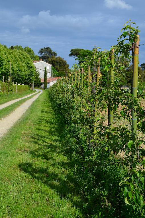 Agriturismo Al Podere Di Rosa Lucca Eksteriør bilde